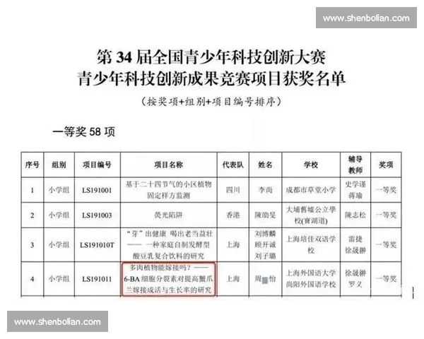 以循环赛为核心的公平竞争机制与赛程设计创新探索实践路径研究