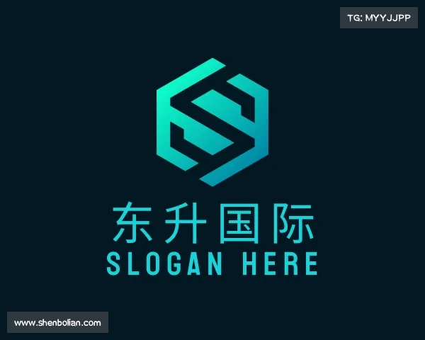 介绍东升国际在线登录入口